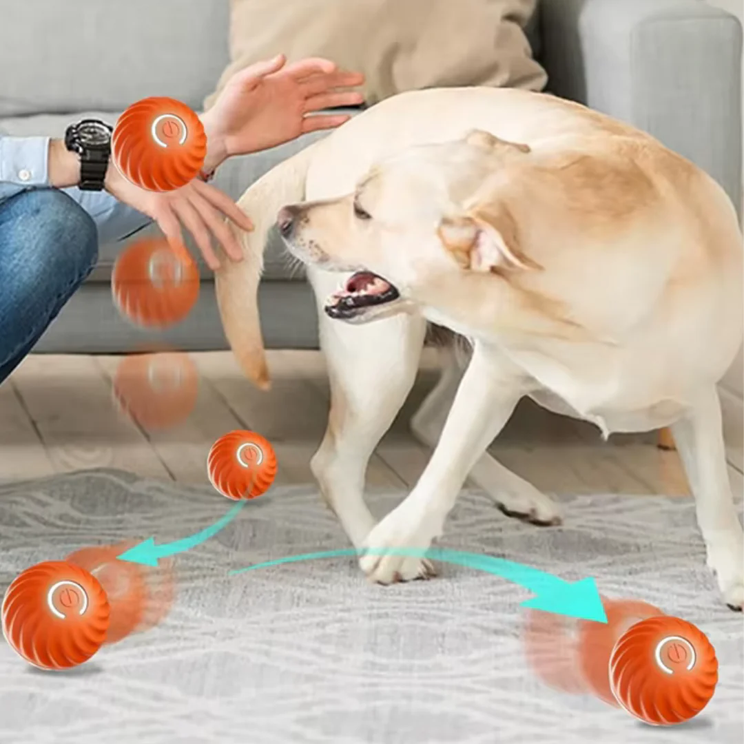 Interactive Dog Ball