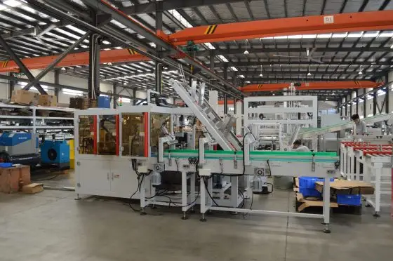 Case Packing Machine